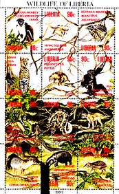 ���x���A�̖쐶����