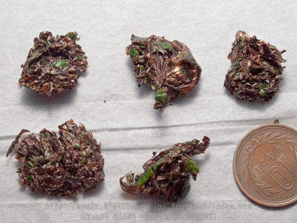 pellet