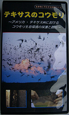 �e�L�T�X�̃R�E����