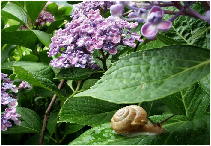 ���J���~��ƁA���܂����I���܂����I(^_^)v