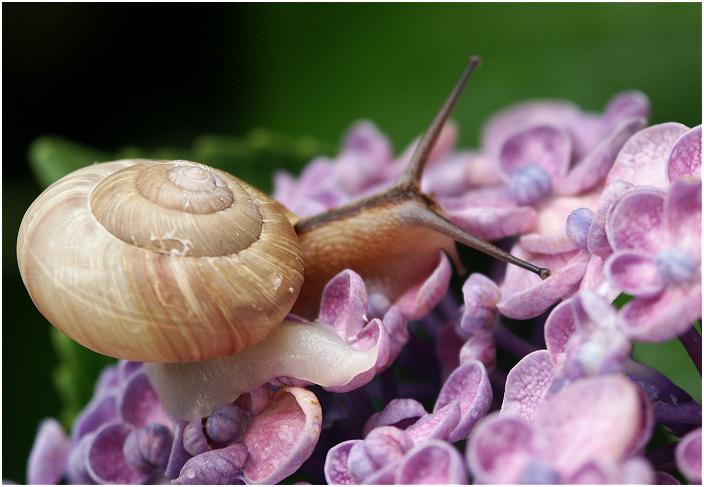 �ԕق���ԕقւƁE�E�E�E