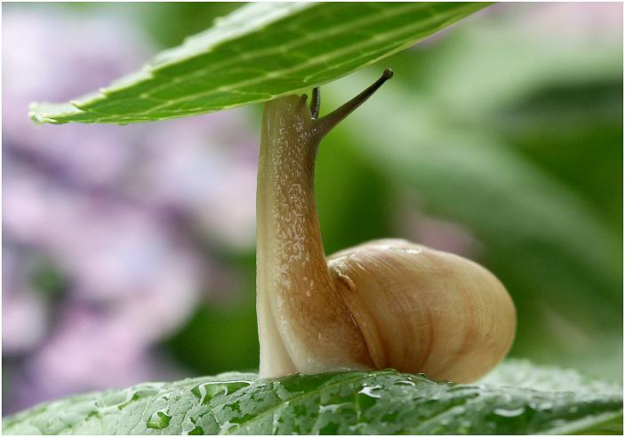 �O�b�[�g�w�L�т��āA�t���ς���t���ςցE�E�E�E