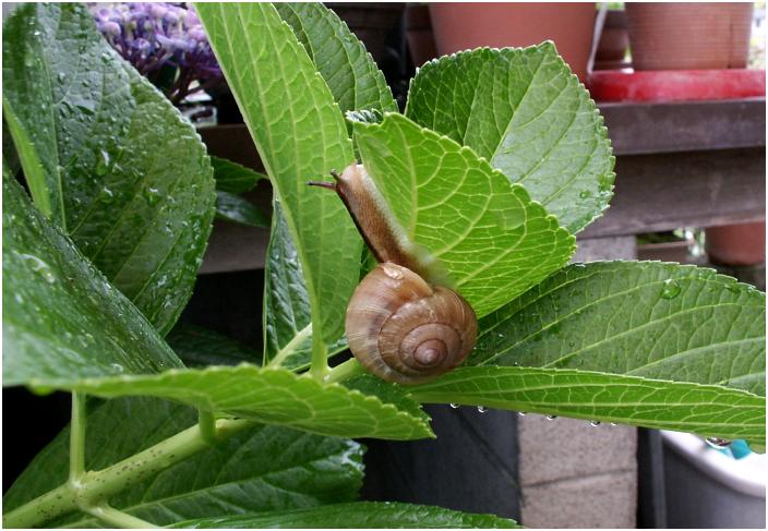 �����l�q�����Ă���ƈړ����n�߂܂����B