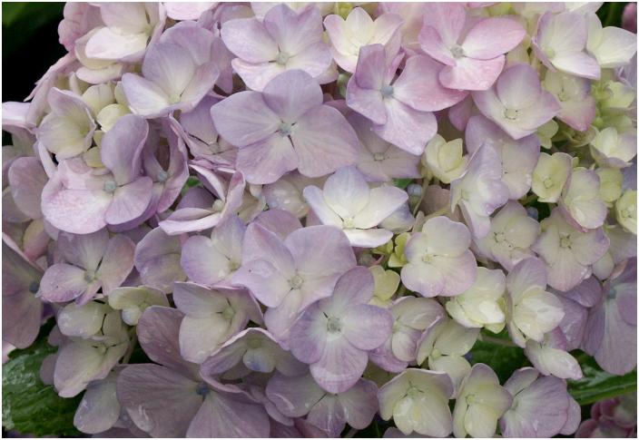 �������z�Ԃ̎}������ɁE�E�E�E��c�A�肵�Ă���̂����E�E�E�E