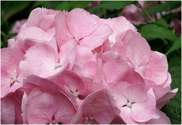 �������z�Ԃ����C���ł����A����Ȃ̂��E�E�E�E