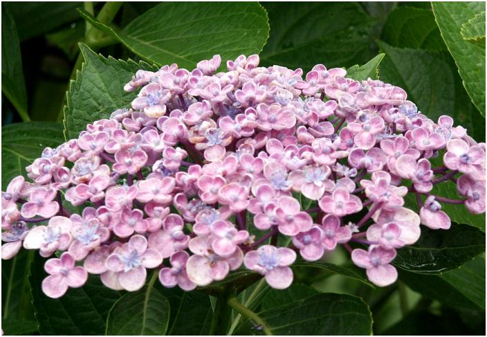 �ŏ��͐݂��������F����A���̐F�ɕω����Ă����܂��B