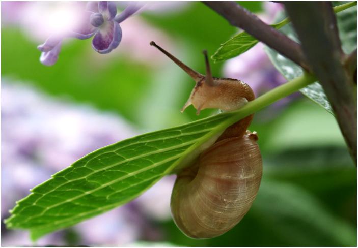 �������Ԃ��o���Č��Ă݂�ƁA�܂�����Ȍ|���E�E�E�E