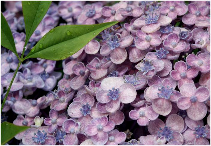 �������z�Ԃ̈�ւɃ}�N���ŁE�E�E�E