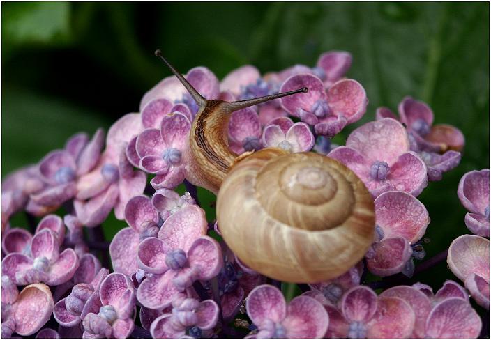 ���z�ԂƃJ�^�c�����Ƃ̋Y��̈ꎞ���y���܂��Ă���܂����B