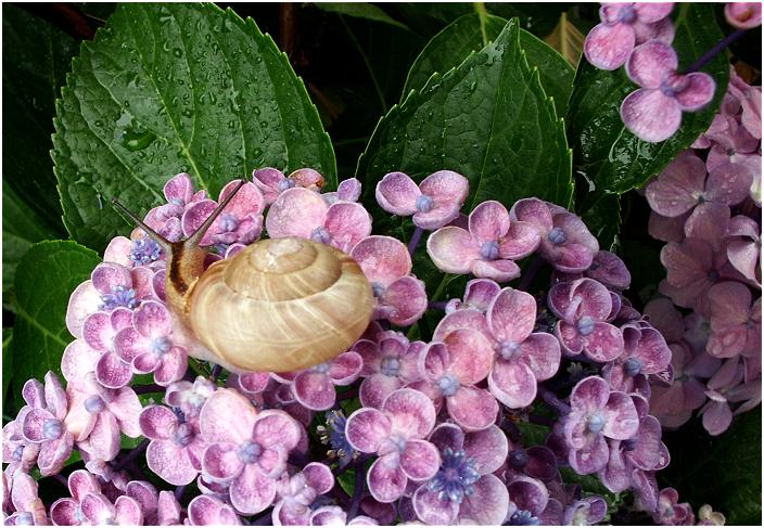 �Y�[���A�E�g�ŁE�E�E�E