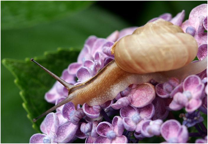 ������ԕقɃm�b�\���A�m�b�\���ƁE�E�E�E