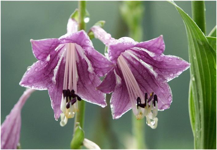 �J���̎B�e�ł��I