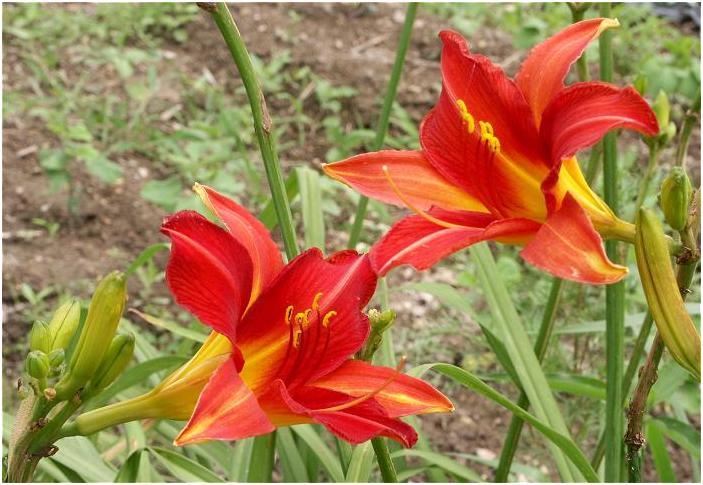 ������A�������ɁE�E�E�E�E�A�ԁX�����D���Ȃ�ł��ˁI