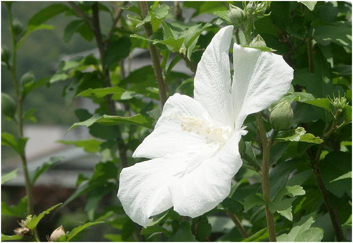 ���̎U���R�[�X�Ō������܂����B