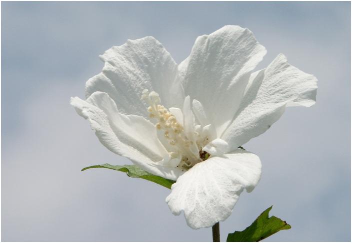 �J�オ��̏��������ɐ��X�����������󂯂܂��B