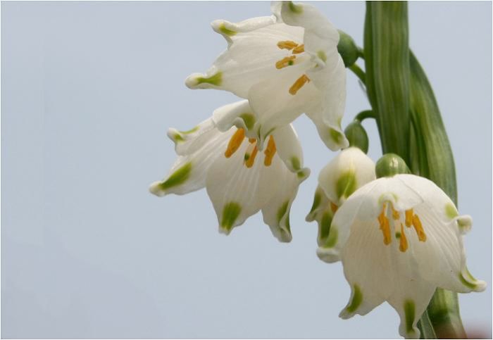 �ڐ��ʒu�ł͉��ȉԕق��f���ȁI�n�ʂɐQ�]��ŃV���b�^�n�m�I