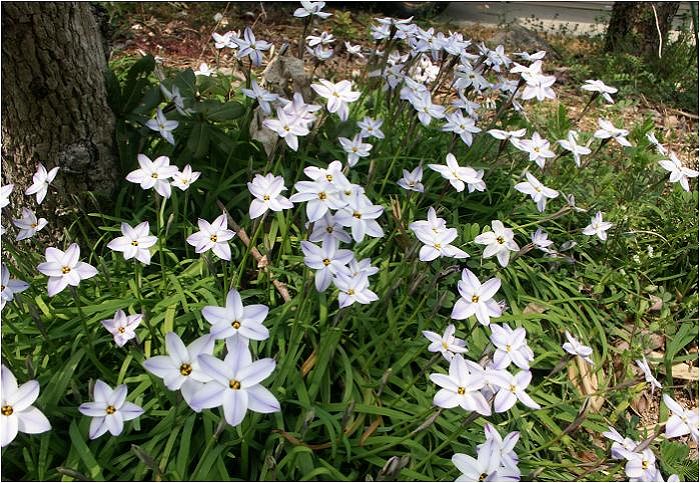 ��Ŋy����ł���ꂽ�悤�ł����A���������č����ɈڐA���ꂽ�悤�ł��I