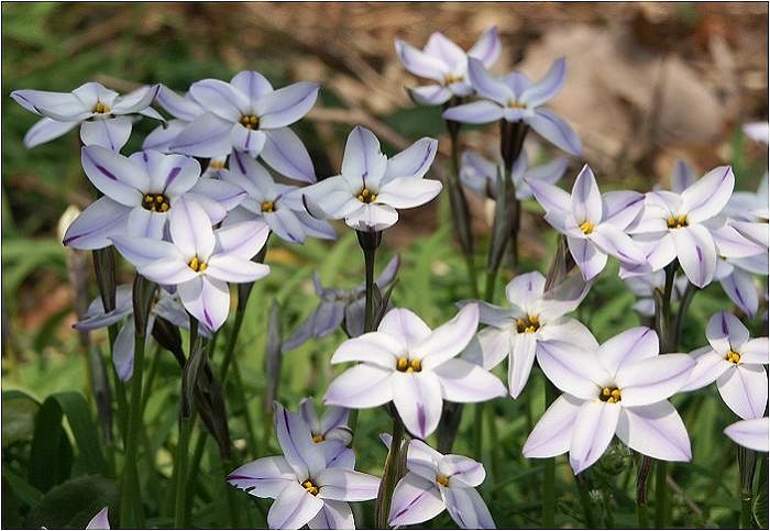 ��N�ɁA�ꊔ���������̂ł����E�E�Ƃ��肢������A�X�R�b�v��t���������Ă��Ē���(@_@)���܂����B