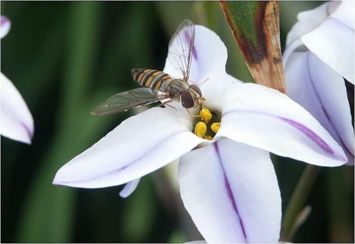 ��������Ƃ̂��J�Ԃ��Ă��܂����A��ו��ɂȂ�Ȃ��I(-_-;)������T�Ԃقǂ͘A���K��Ă��܂��I(��)