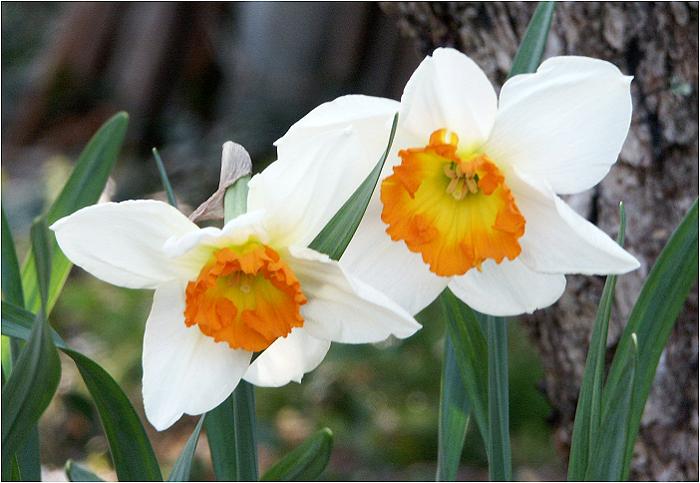 �n�i�j������̒����ׂɁA���Ȏp�������Ă��ꂽ���ǂ��̓�ւł��I