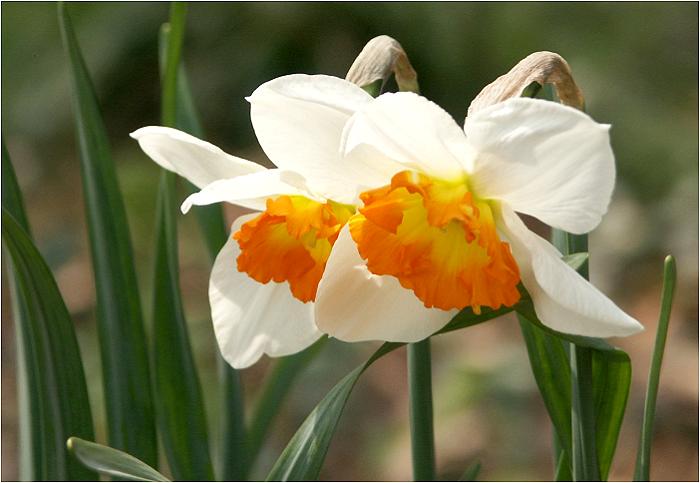 �����A���O����ς��Ă݂܂������A���ǂ����񂪗ǂ��������܂��ˁI(^_^)v