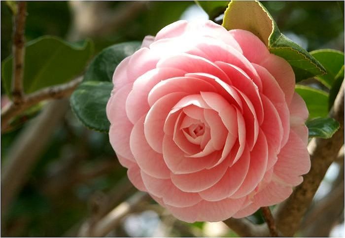 �����E�[���̏_�炩���������󂯂ĉ��Ƃ������Ȃ��t�@���^�W�b�N�Ȉꎞ���y���߂܂����I(^_^)v�@�������L��������܂����B