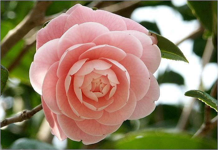 ���̋G�߁A���N�����b�ɂȂ��Ă��܂��I