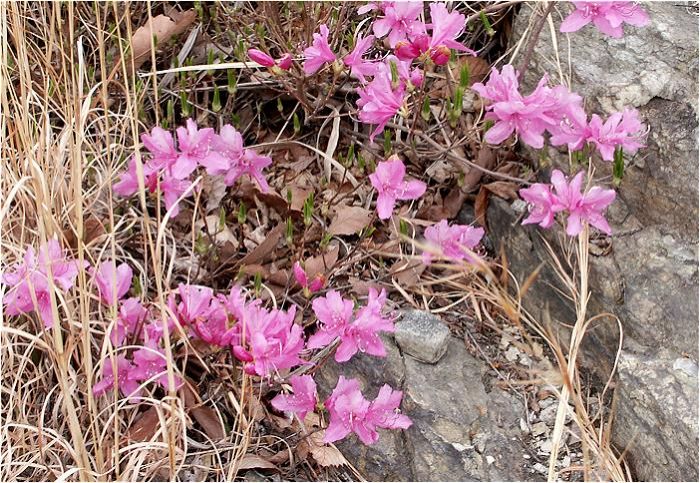 �d���A���v�X�̏t��������Ԃł��I�o�R���T�C�h�ɂ���R�炢�Ă��܂��B