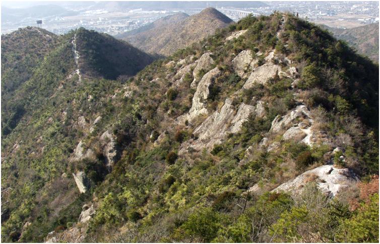 ���̕ӂ�̓W�]�́A�������߂Ă�(^_^)v�@