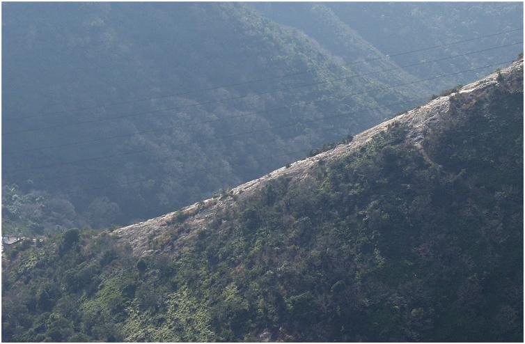 ���̕ӂ肩��S�Ԋ�͊����̂悤�Ɍ����܂��I