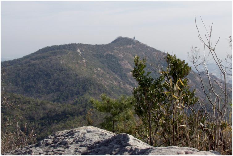 �����Ă����R�[�X����]�I