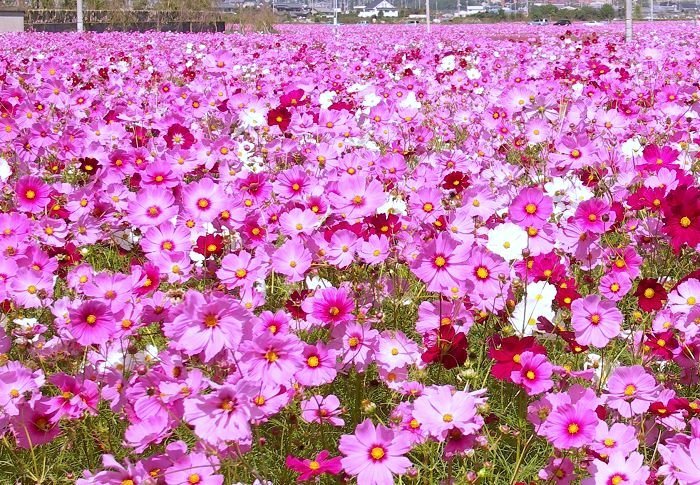 �����Y�[���ň��������Ă݂܂����B