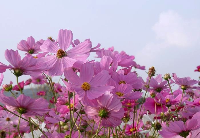 �w�i���ɁE�E�E�E