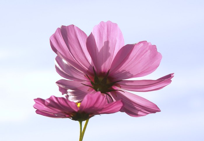 �t���œ������Č�����Y��ł��ˁI(^_^)v