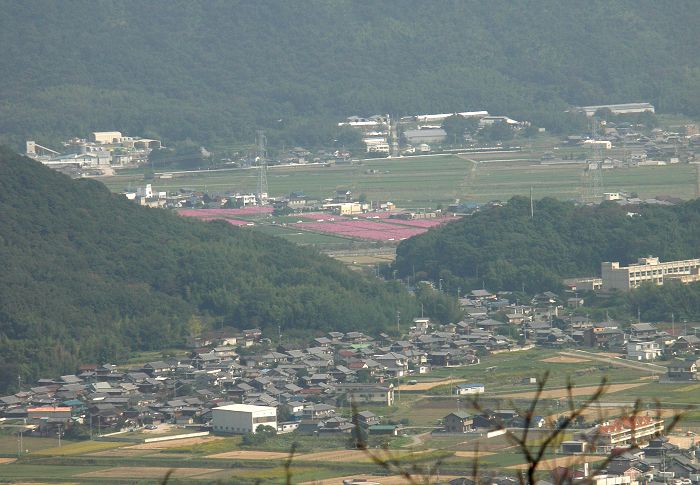 �ߓ��o�R�̍���ʎR�ŁA���R�r��̓o�R�҂̕��������Ă���A�����猻�n�ɗ����܂��Ƃ̎��ł����B