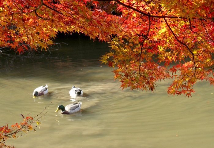 �~�ʎ���������E�E�E�E