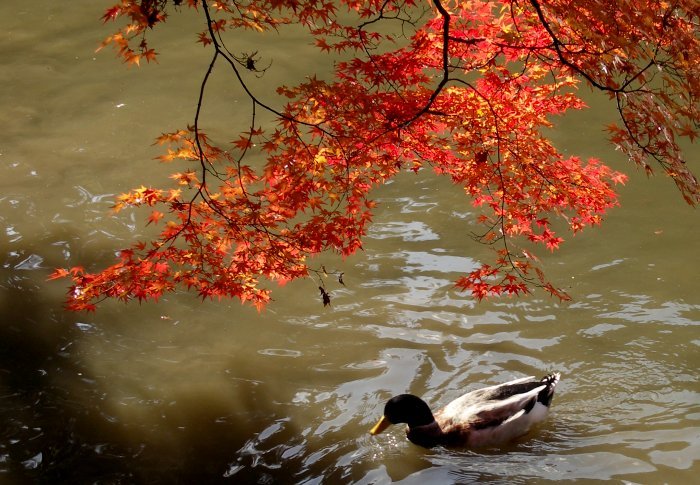 �~�ʎ���������E�E�E�E