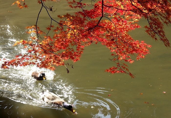 �~�ʎ���������E�E�E�E