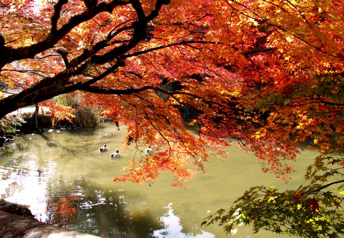 �~�ʎ���������E�E�E�E