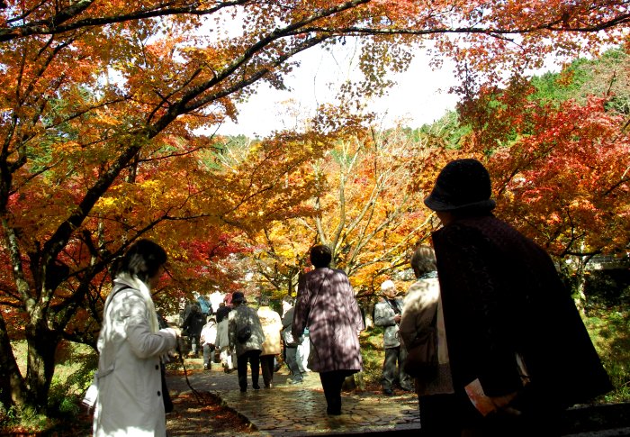 �~�ʎ���������E�E�E�E