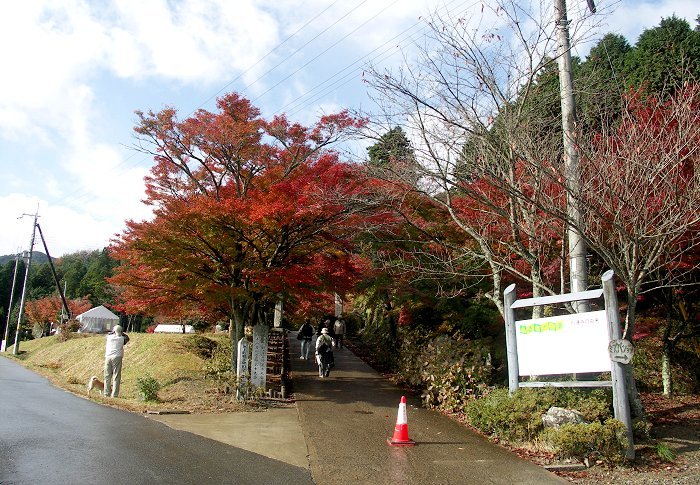 �B�e�͂P�P���Q�Q���i�؁j�A�����ي����ʐ^�N���u�̎B�e���ŖK��܂����B