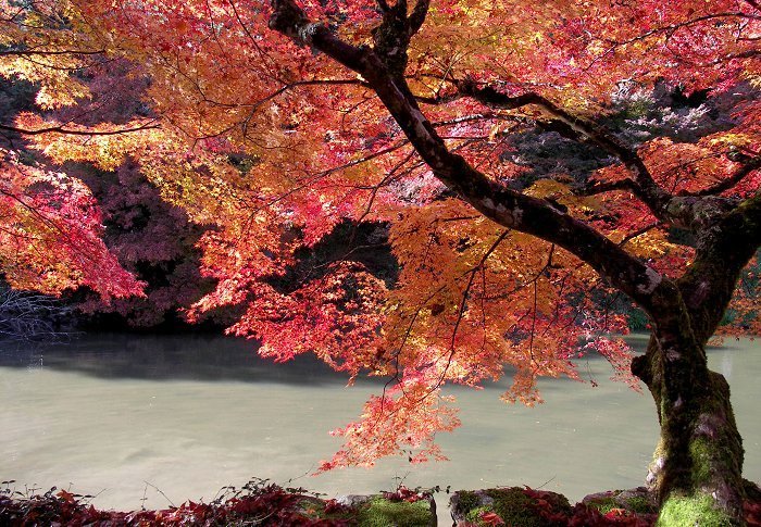 �~�ʎ���������E�E�E�E