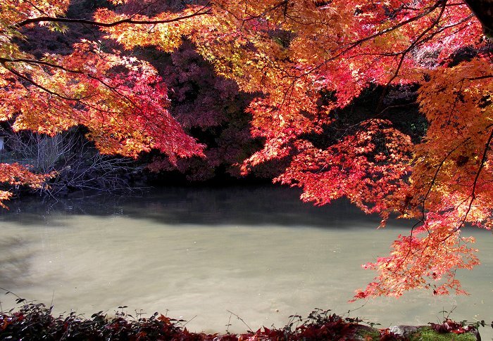 �~�ʎ���������E�E�E�E