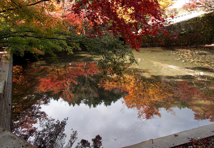 �~�ʎ���������E�E�E�E