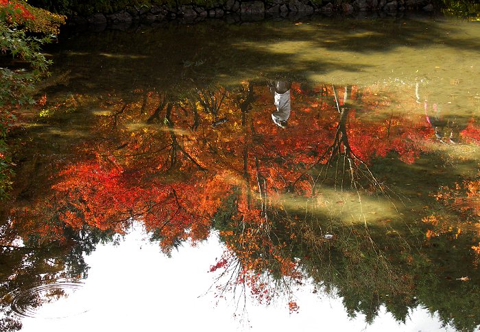 �~�ʎ���������E�E�E�E