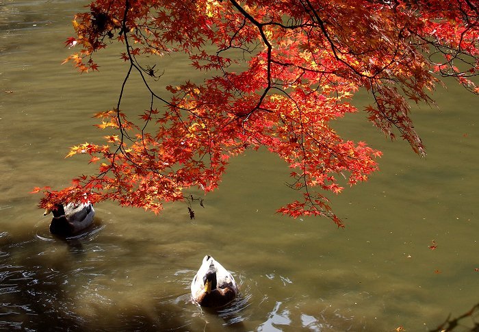 �~�ʎ���������E�E�E�E