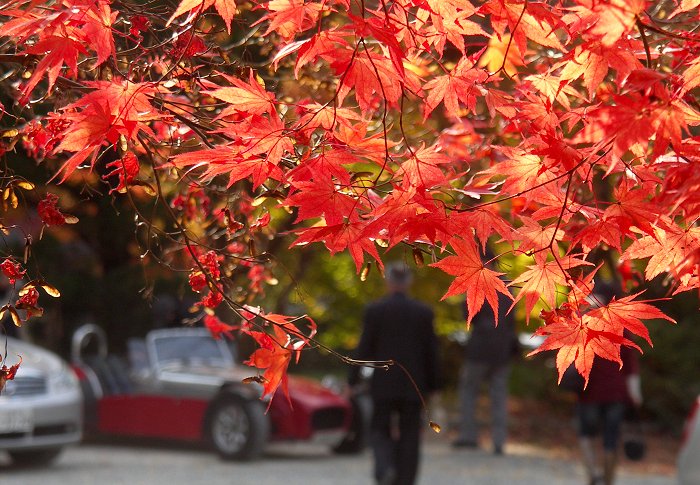 �}�C�X�|�b�g����E�E�E�E�E