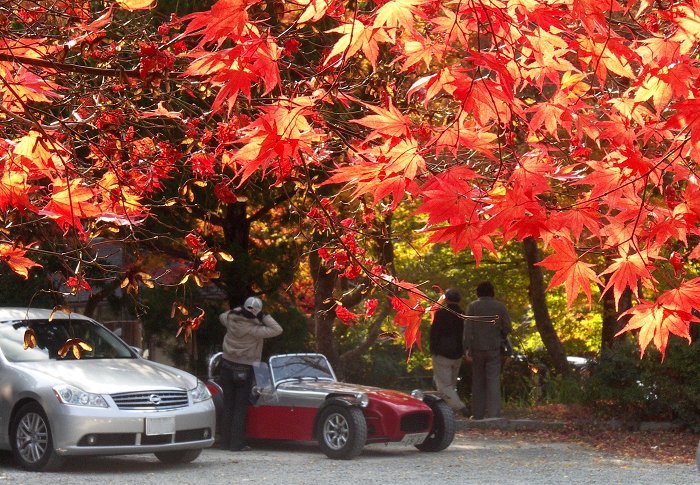 �}�C�X�|�b�g����̐��V���b�g���A���y���݉������B