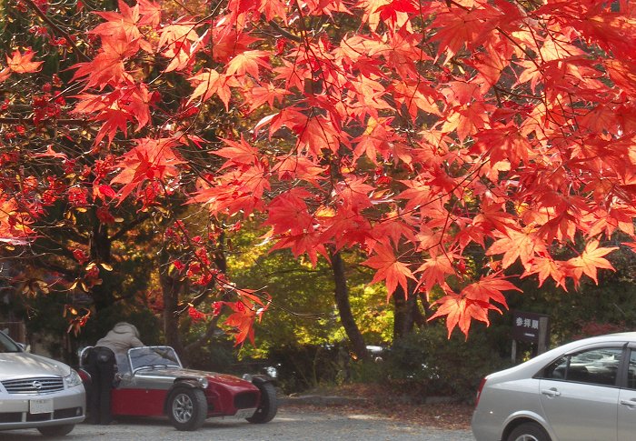 ��掛�̃}�C�X�|�b�g����ł��B�w�i�ɒ������X�|�[�c�J�[�������Ă��܂��B