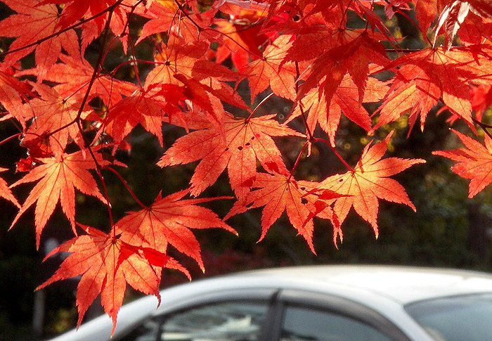 �}�C�X�|�b�g����E�E�E�E�E